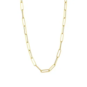 Altın Ataç Zincir Kolye